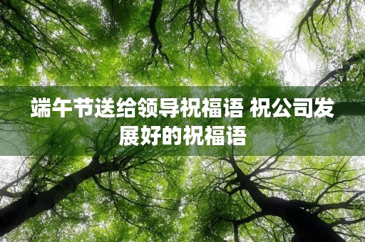 端午节送给领导祝福语 祝公司发展好的祝福语