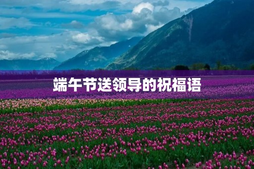 端午节送领导的祝福语,端午节领导节日贺词