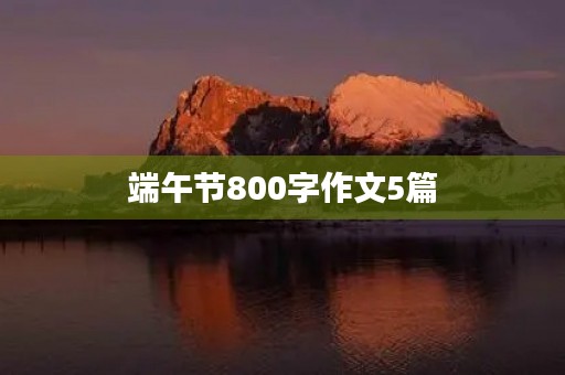 端午节800字作文5篇