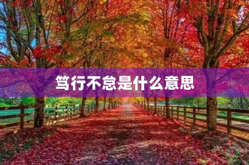 笃行不怠是什么意思