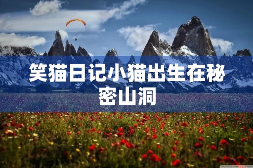 笑猫日记小猫出生在秘密山洞