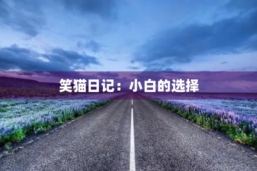 笑猫日记：小白的选择