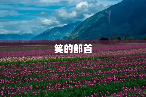 笑的部首(笑组词) 笑的部首(笑组词)