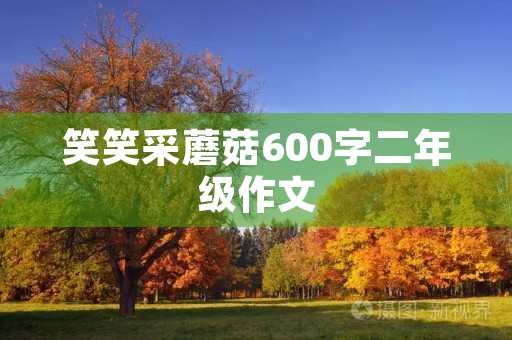 笑笑采蘑菇600字二年级作文