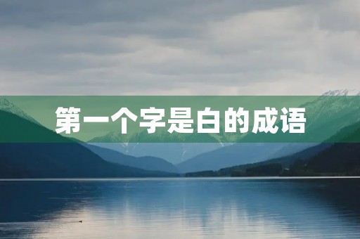 第一个字是白的成语