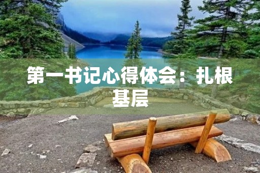 第一书记心得体会:扎根基层,服务百姓