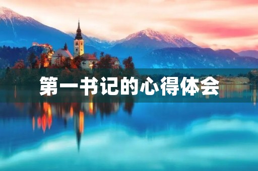 第一书记的心得体会