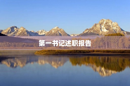 第一书记述职报告(优秀报告的特点)