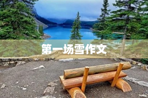 第一场雪作文