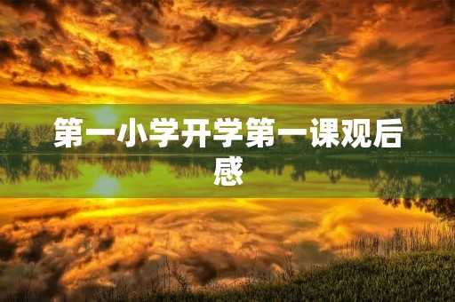 第一小学开学第一课观后感