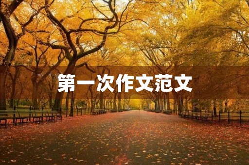 第一次作文范文 第一次作文范文