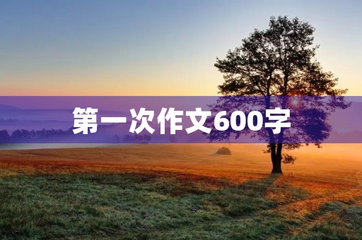 第一次作文600字