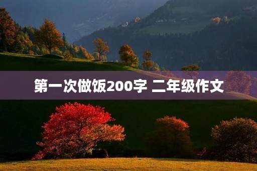 第一次做饭200字 二年级作文
