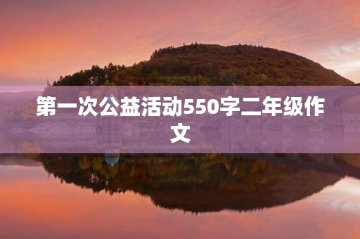 第一次公益活动550字二年级作文