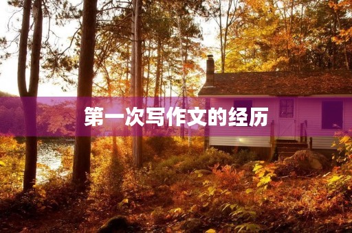 第一次写作文的经历 第一次写作文的经历