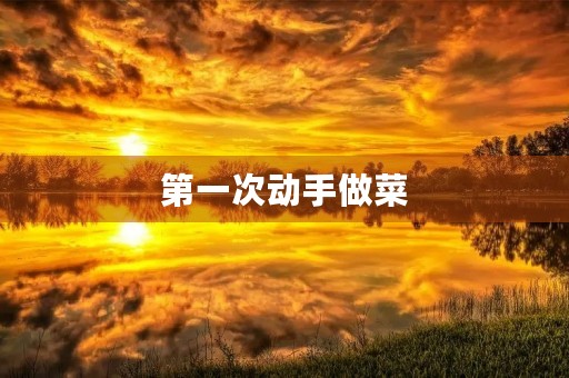 第一次动手做菜