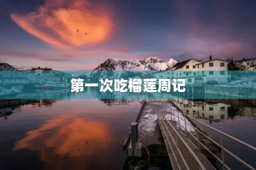 第一次吃榴莲周记