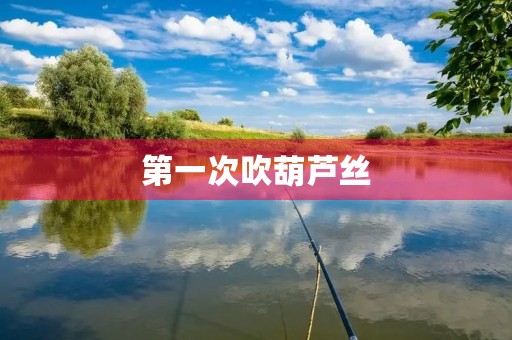 第一次吹葫芦丝 第一次吹葫芦丝