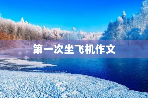 第一次坐飞机作文 第一次坐飞机作文