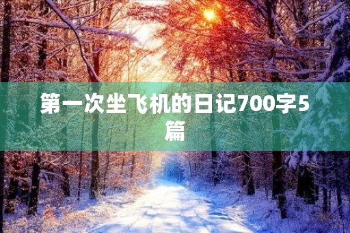 第一次坐飞机的日记700字5篇 第一次坐飞机的日记700字5篇
