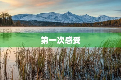 第一次感受