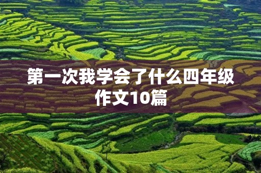 第一次我学会了什么四年级作文10篇