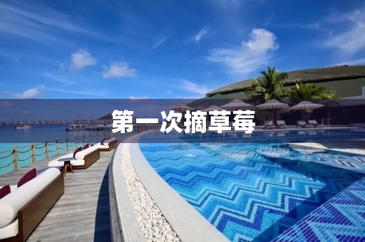 第一次摘草莓 第一次摘草莓