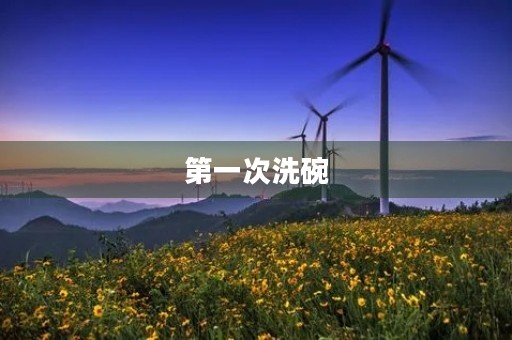 第一次洗碗