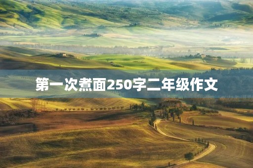 第一次煮面250字二年级作文