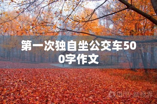 第一次独自坐公交车500字作文
