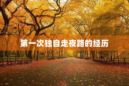 第一次独自走夜路的经历