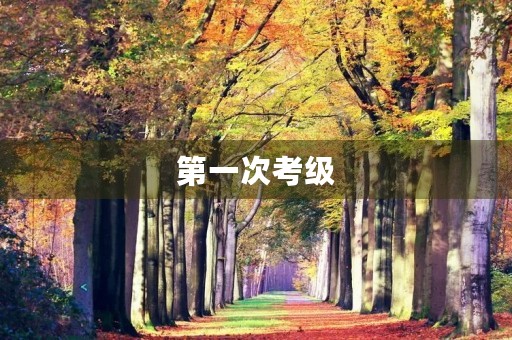 第一次考级 第一次考级