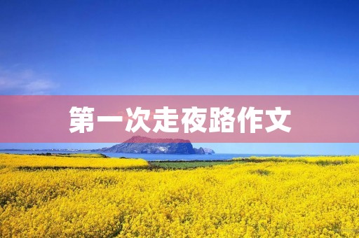 第一次走夜路作文