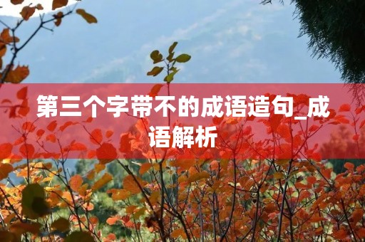 第三个字带不的成语造句_成语解析