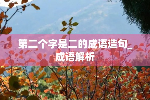 第二个字是二的成语造句_成语解析