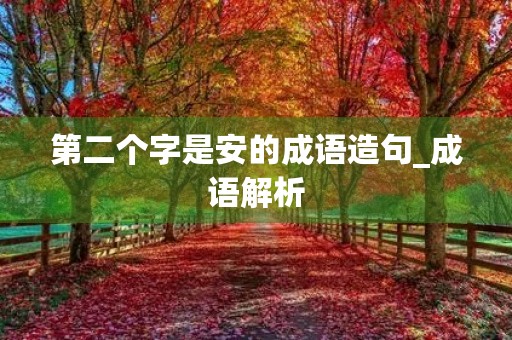 第二个字是安的成语造句_成语解析