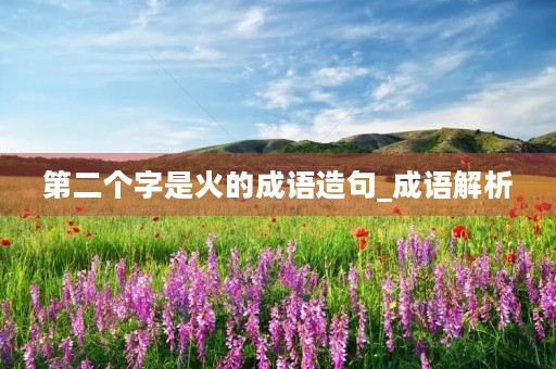 第二个字是火的成语造句_成语解析