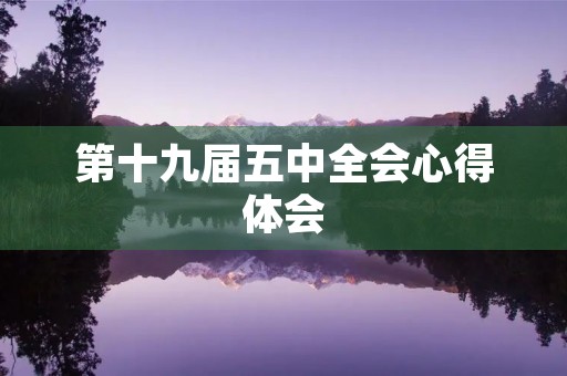第十九届五中全会心得体会