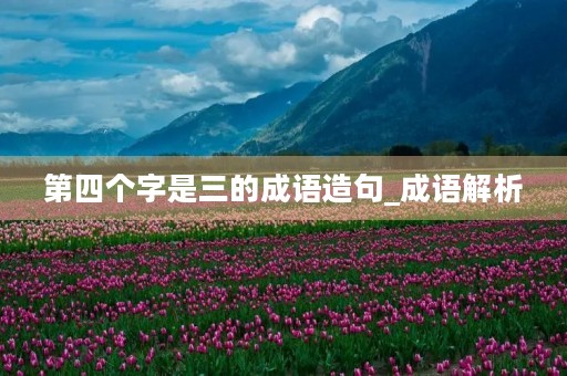 第四个字是三的成语造句_成语解析 第四个字是三的成语造句_成语解析