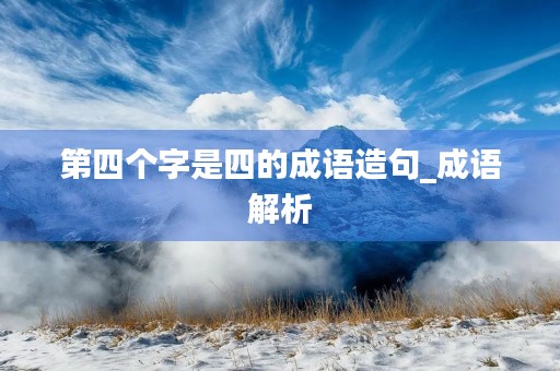 第四个字是四的成语造句_成语解析