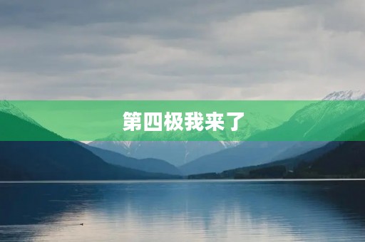 第四极我来了