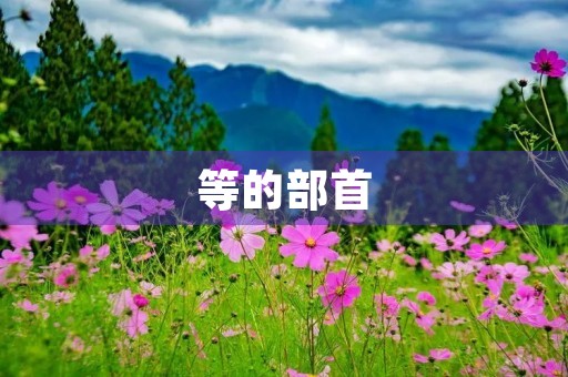 等的部首(等组词)