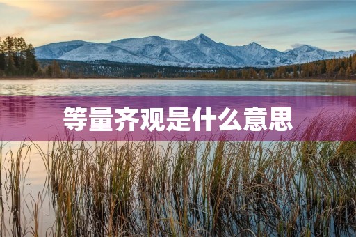 等量齐观是什么意思 等量齐观是什么意思