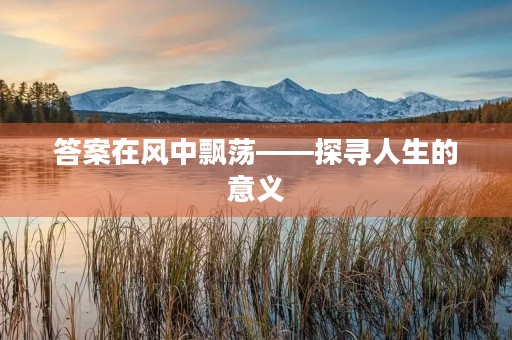 答案在风中飘荡——探寻人生的意义
