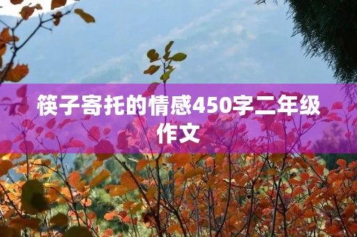筷子寄托的情感450字二年级作文