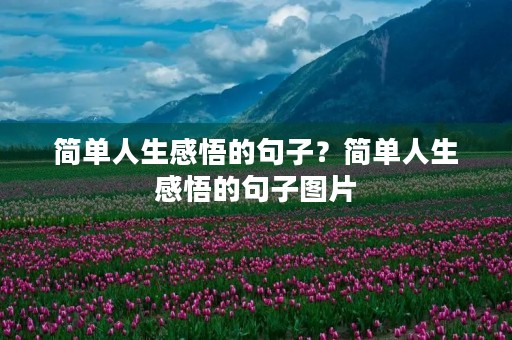 简单人生感悟的句子?简单人生感悟的句子图片 简单人生感悟的句子?简单人生感悟的句子图片