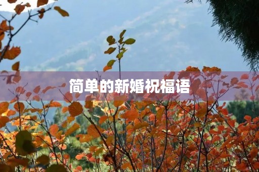 简单的新婚祝福语，写结婚祝福语的范文