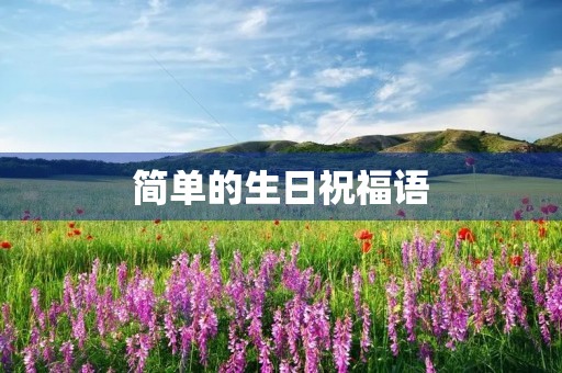简单的生日祝福语(生日简单一句话)
