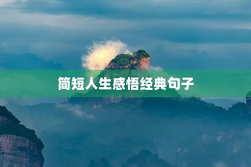 简短人生感悟经典句子，简短人生感悟经典句子图片