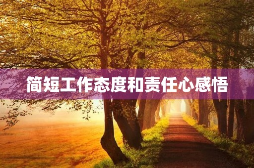 简短工作态度和责任心感悟，简短工作态度和责任心感悟句子